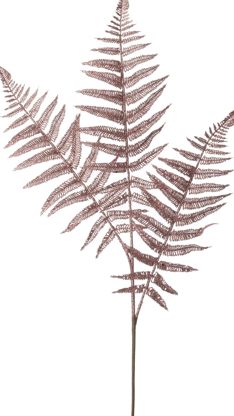 Intratuin kersttak Fern varen roze 78 cm