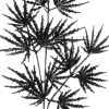 Intratuin kersttak Hala zwart 70 cm