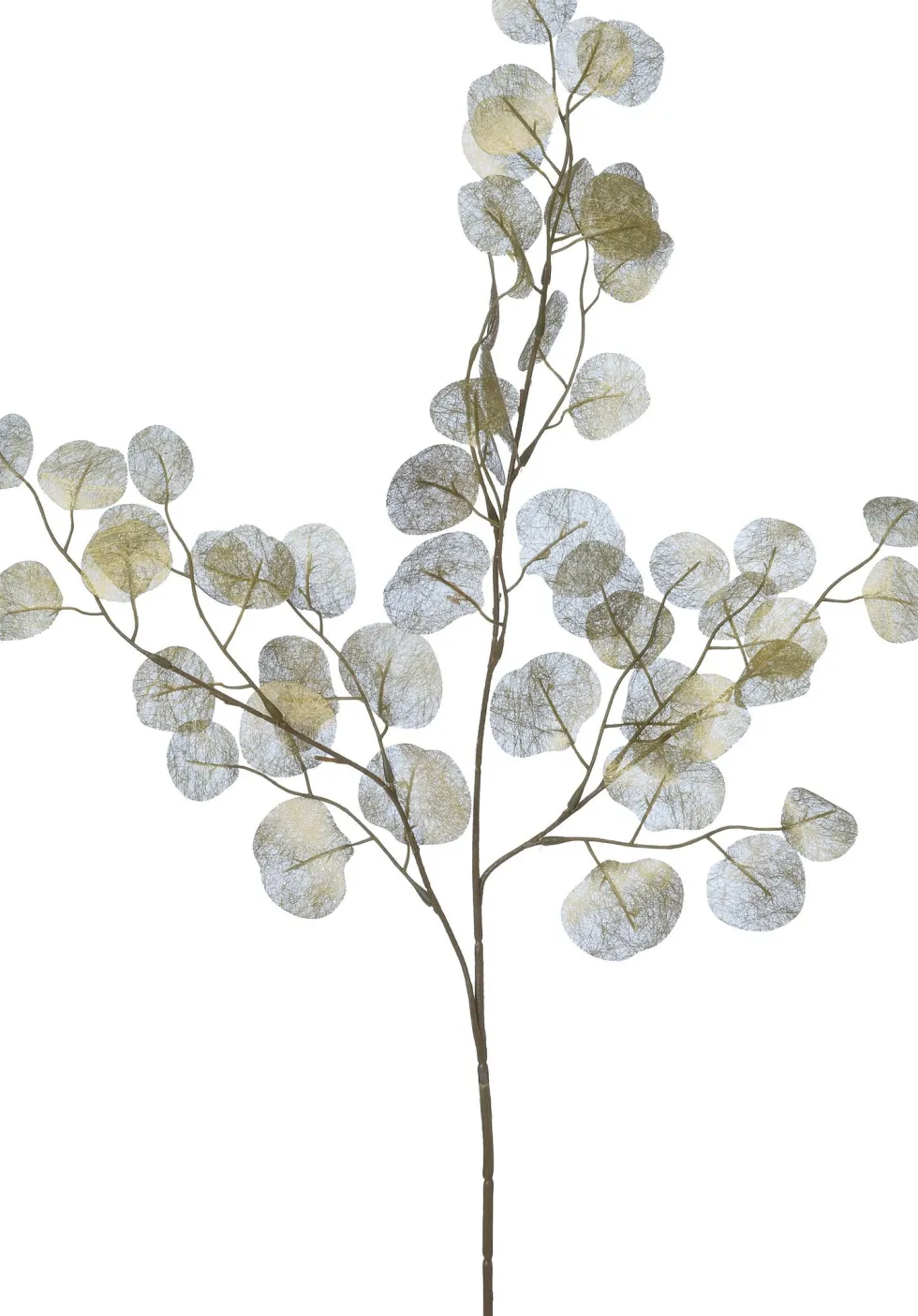 Intratuin Kersttak Judaspenning goud H 102 cm