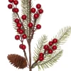 Intratuin kersttak met rode besjes 63 cm