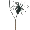 Intratuin kersttak Tillandsia met glitter groen 60 cm