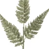 Intratuin kersttak varenblad met glitter lichtgroen 63 cm