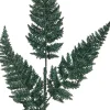 Intratuin kersttak varenblad met glitter donkergroen 63 cm