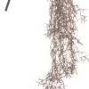 Intratuin kunsthangplant Tillandsia koper D 10 H 90 cm