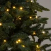 Intratuin kunstkerstboom Arjo met 320 lampjes warm wit D 110 H 180 cm