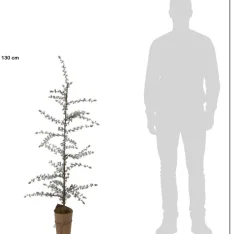 Intratuin kunstkerstboom Stag besneeuwd met 25 lampjes warm wit D 28 H 130 cm