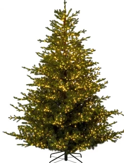 Intratuin kunstkerstboom Svea met 3000 lampjes warm wit D 155 H 210 cm