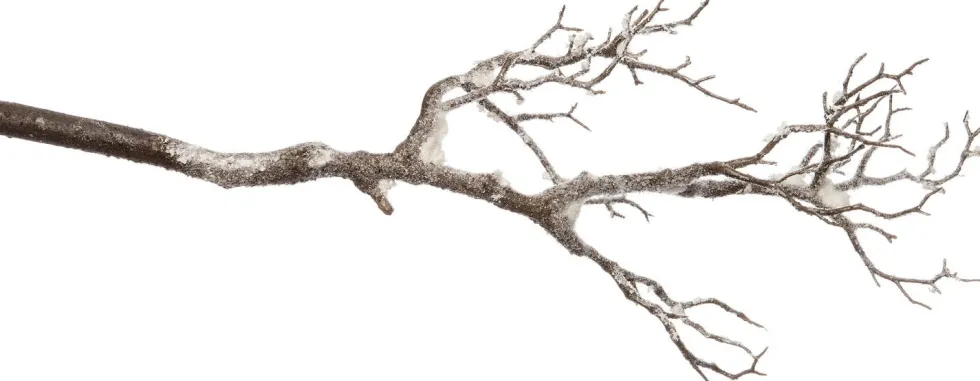 Intratuin kunststof tak met sneeuw 68 cm