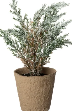 Intratuin mini kunstkerstboom Kraft besneeuwd D 8 H 25 cm
