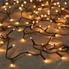 Intratuin miniverlichting zwart met 360 lampjes classic warm 18 m
