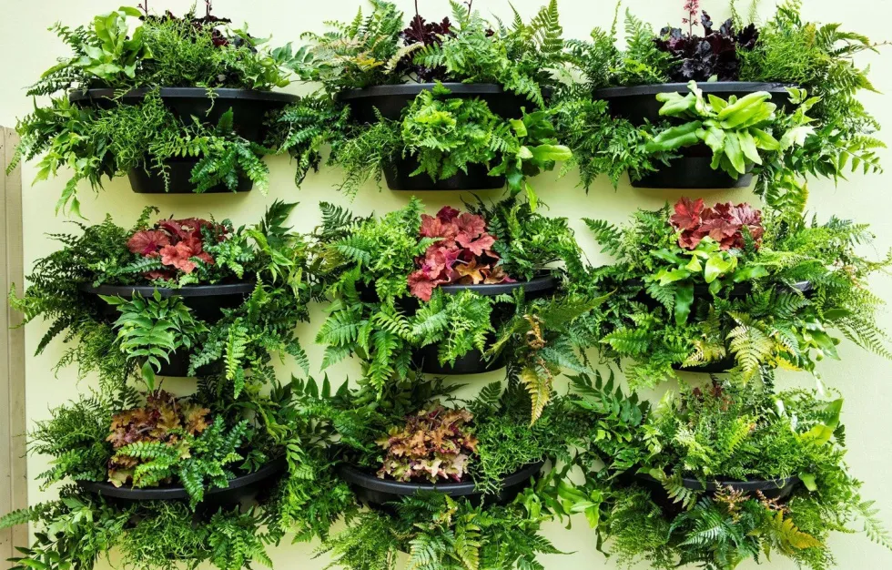 Intratuin muur bloempot zwart 50 x 26 x 21,5 cm