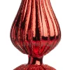 Intratuin piek Tyn rood D 8 H 31 cm