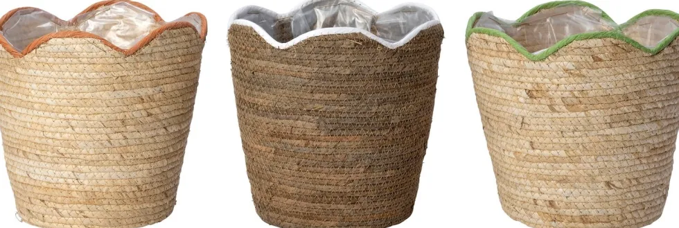 Intratuin plantenmand Cairo naturel D 26 H 25 cm