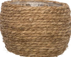 Intratuin plantenmand gras D 22,5 H 20 cm