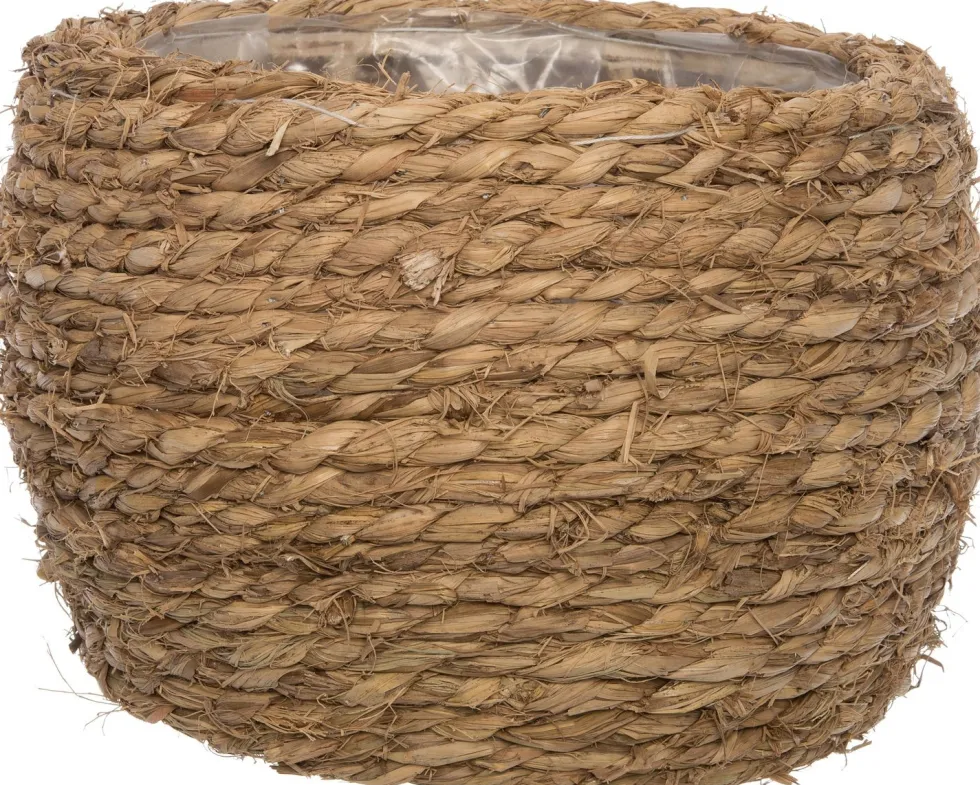 Intratuin plantenmand gras D 22,5 H 20 cm