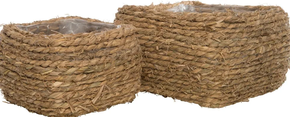 Intratuin plantenmand gras 17,5 x 17,5 x 15 cm