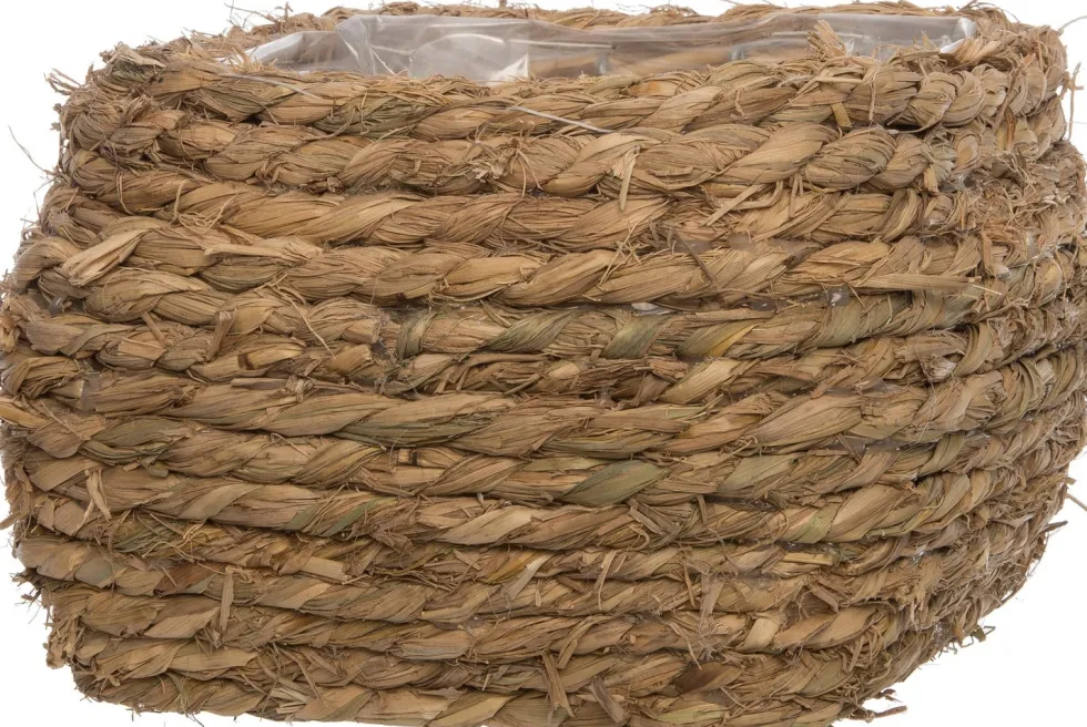 Intratuin plantenmand gras 17,5 x 17,5 x 15 cm