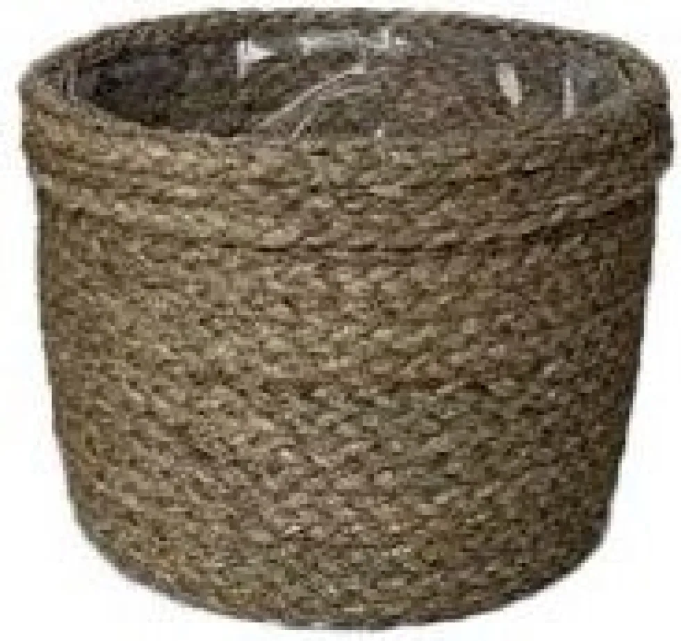 Intratuin plantenmand Roxy naturel D 19 H 14 cm