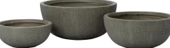 Intratuin plantenschaal Tom grijs D 43 H 19,5 cm