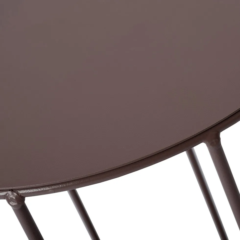 Intratuin plantentafel Myrica bruin D 24,5 H 57 cm