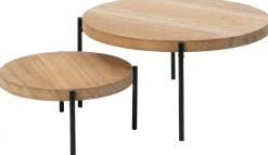 Intratuin plantentafel Odon naturel D 20 H 10 cm