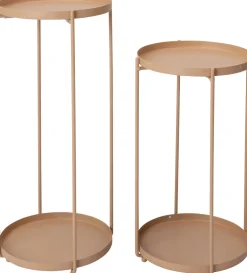 Intratuin plantentafel Salix roze D 27 H 57,5 cm