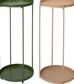 Intratuin plantentafel Salix roze D 27 H 57,5 cm