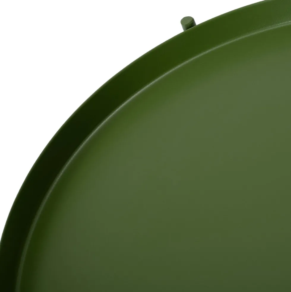 Intratuin plantentafel Salix groen D 27 H 57,5 cm