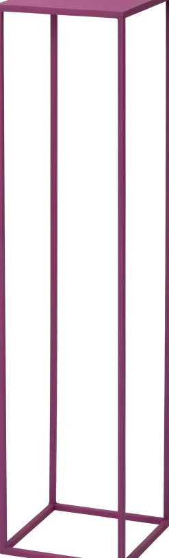 Intratuin plantentafel Vinc roze 25 x 25 x 100 cm