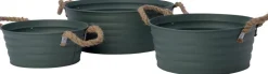 Intratuin plantenteil Guus groen D 31 H 13 cm