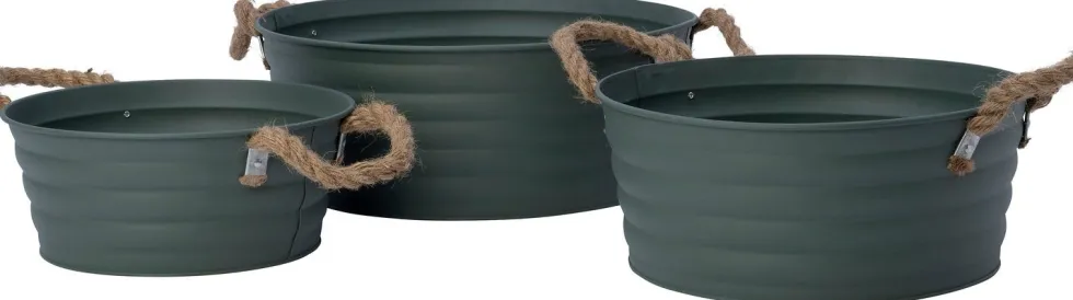 Intratuin plantenteil Guus groen D 31 H 13 cm