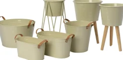 Intratuin plantenteil Mavi groen D 39 H 23 cm