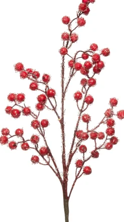 Intratuin tak met bessen 45 cm rood