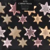 Kerst ornament Fitun ster roze 6 x 6 x 2 cm 16 stuks