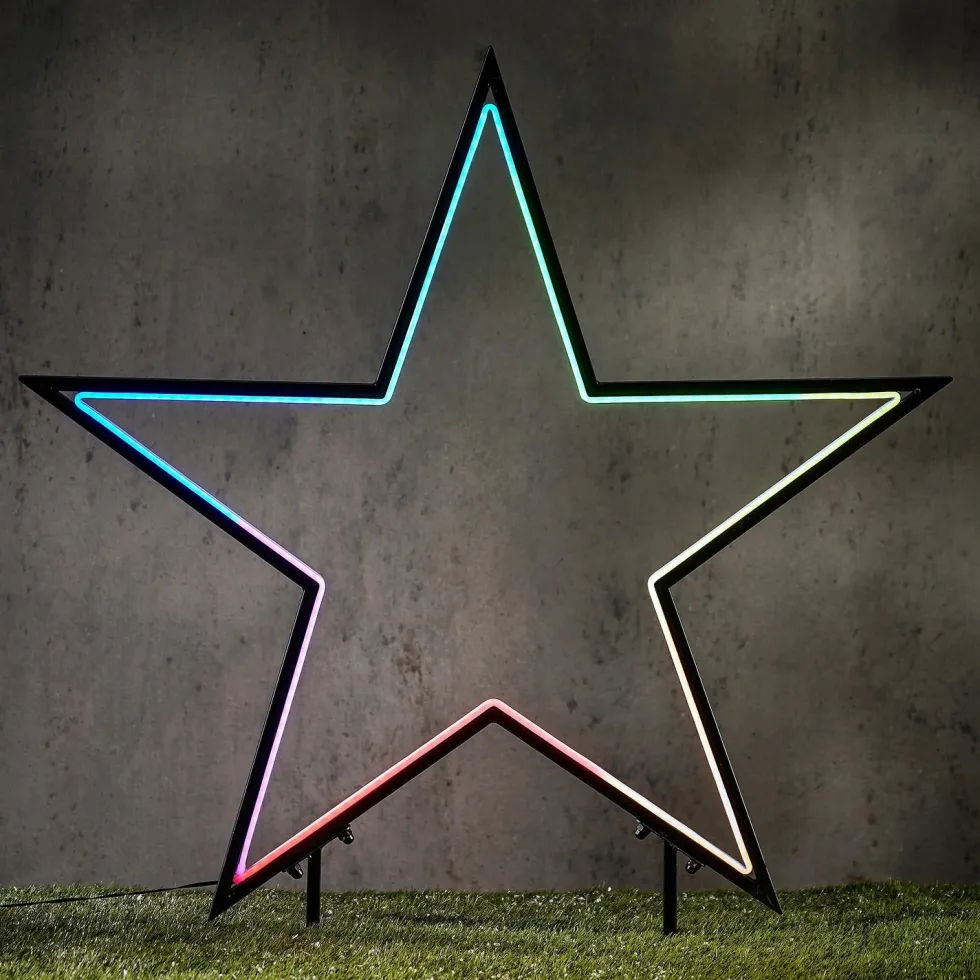 Luca Lighting tuinsteker Garden d'Light ster met verlichting gekleurd 60 x 60 x 73 cm