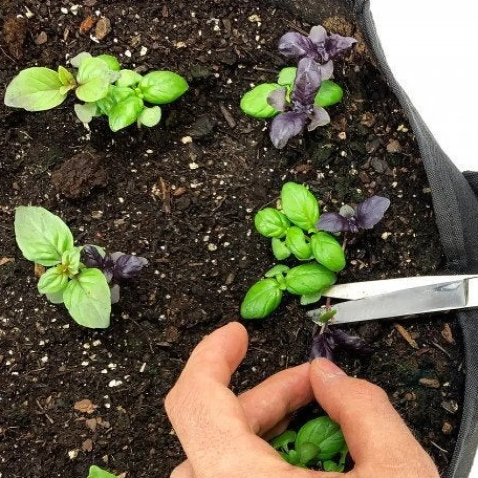 Makkelijke Moestuin voeding mix 20 L