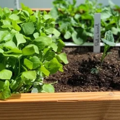 Makkelijke Moestuin voeding mix 20 L