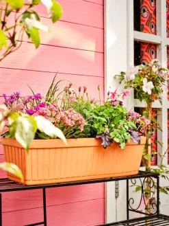 Mega Collections balkonbak Floreira terracotta 59 x 19 x 18 cm
