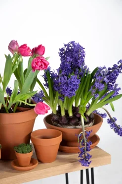 Mega Collections bloempot Sparta bruin D 17,5 H 15,5 cm