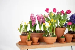 Mega Collections bloempot Sparta bruin D 13,5 H 11,5 cm