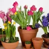 Mega Collections bloempot Sparta bruin D 7 H 6 cm