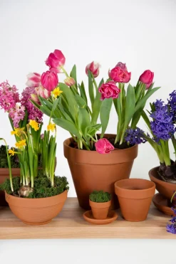Mega Collections bloempot Sparta bruin D 7 H 6 cm