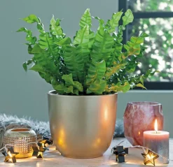 Mica Decorations bloempot Tusca goud D 19,5 H 18,5 cm
