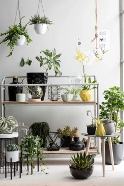 Mica Decorations plantenstandaard Ascot zwart 24 x 24 x 25 cm