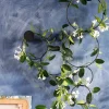 Mica Decorations plantensteun uitbreiding druppel zwart D 15 H 30 cm