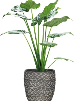 Mica Decorations pot Alma rond D 15 H 15 cm donkergrijs
