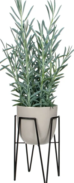 Mica Outdoor plantenkruk Blom Ø 29,5 x 50 cm zwart