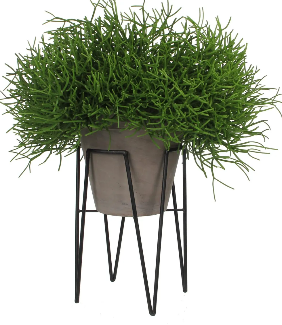 Mica plantenkruk Blom Ø25x38cm zwart