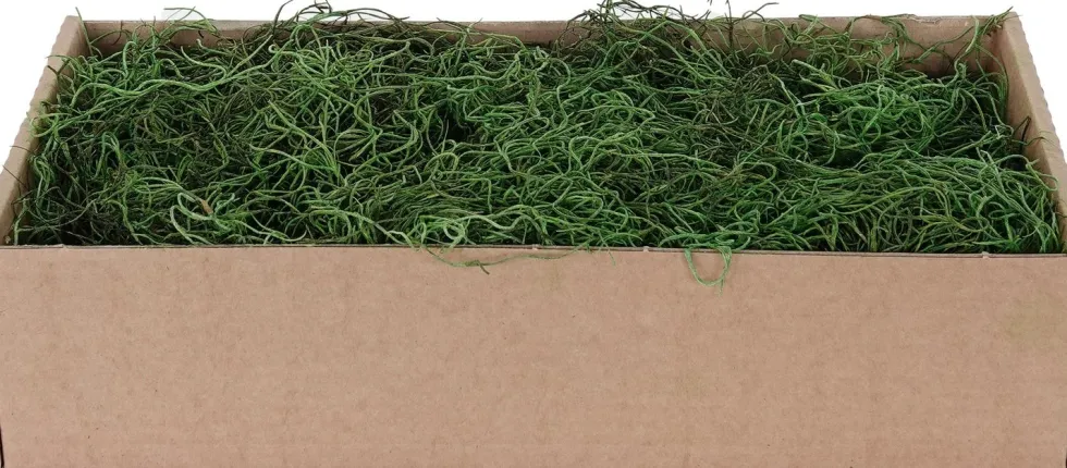 My Village kerstdorp ondergrond Tillandsia mos mat groen 500 g