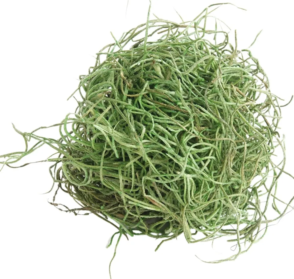My Village kerstdorp ondergrond Tillandsia mos mat groen 500 g